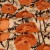 Maki orange 22.jpg