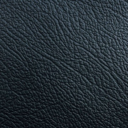 Kornik Mercedes skóra samochodowa .jpg